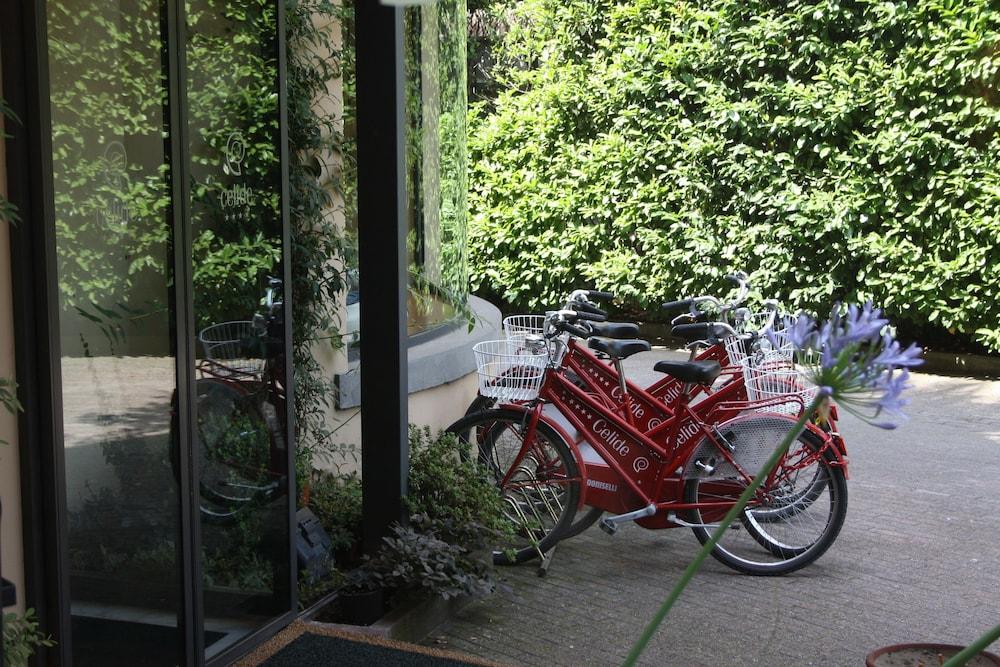 Hotel Celide 4*